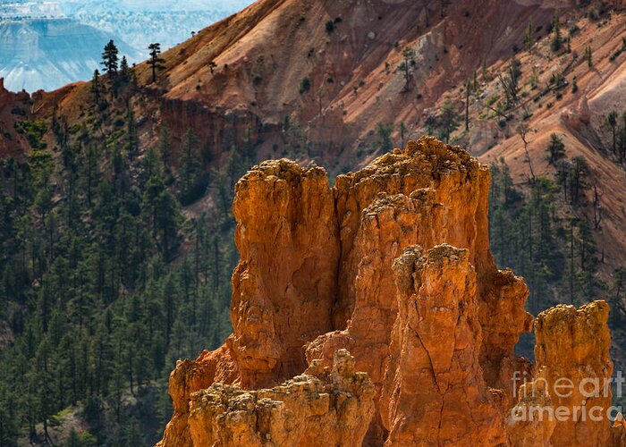 Bryce Canyon Greeting Card featuring the photograph Hoodoos of Bryce Canyon by Doug Sturgess