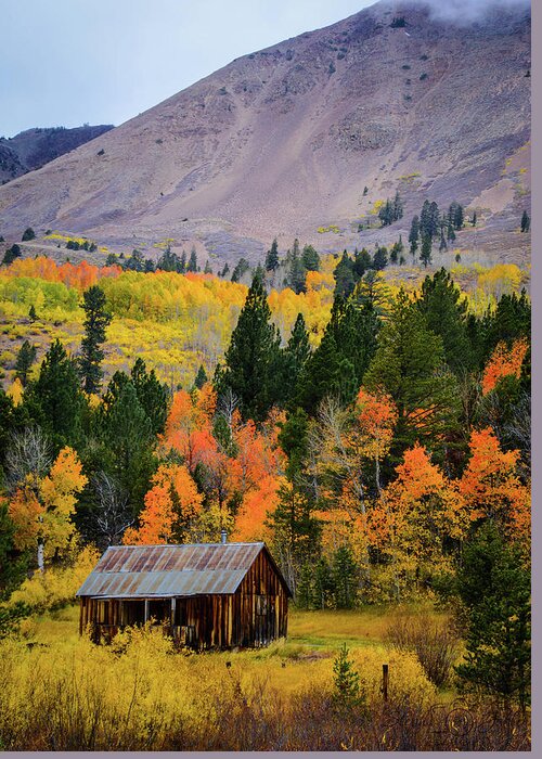 Hope Valley Greeting Card featuring the photograph Hope Valley Cabin by Steph Gabler