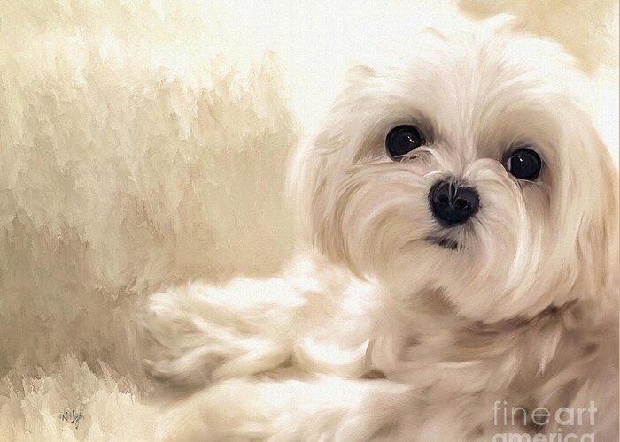 Maltese Greeting Card featuring the digital art Hoping For A Cookie by Lois Bryan