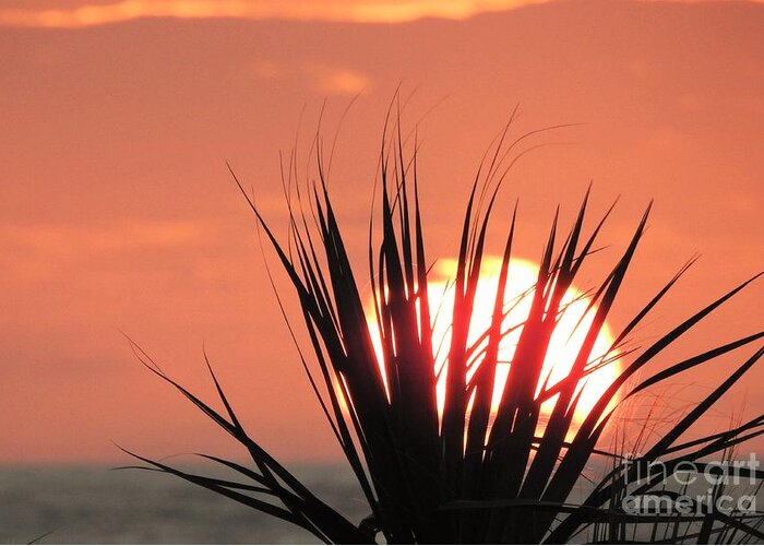 Sun Greeting Card featuring the photograph Horizon Sunrise by Jan Gelders