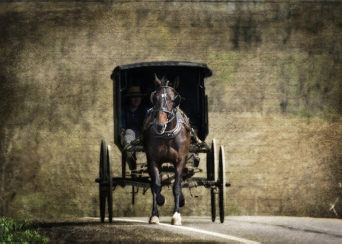 Horse Greeting Card featuring the photograph Horse and Buggy by Tom Mc Nemar