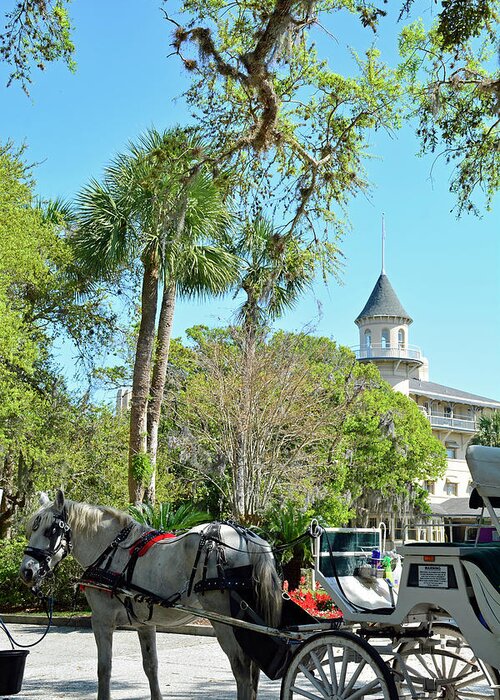 Jekyll Island Greeting Card featuring the photograph Horse and Carriage at Jekyll Island Club Hotel by Bruce Gourley
