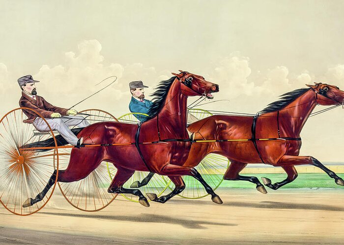 David Letts Greeting Card featuring the photograph Horse Carriage Race by David Letts