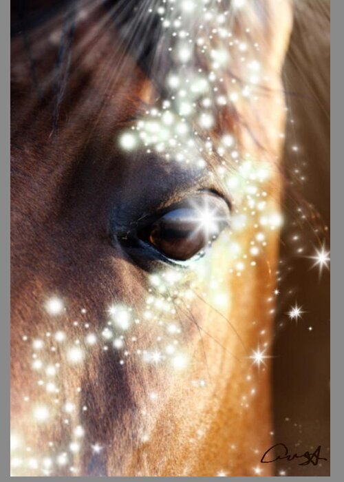 Portrait; Face; Eye; Head; Nature; Abstract; Mouth; Winter; Wet; Young; Animal; Sunlight; Vertical; Color Image; Blur; Large; Shiny; Animal Wildlife; Animals In The Wild; Season; Animal Themes Greeting Card featuring the digital art Horse by Cepiatone Fine Art Callie E Austin