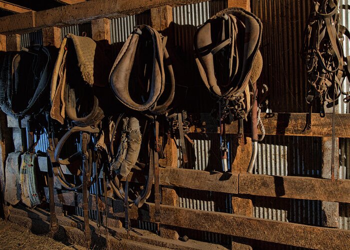 Barn Greeting Card featuring the photograph Horse Collars and Harness by Alana Thrower
