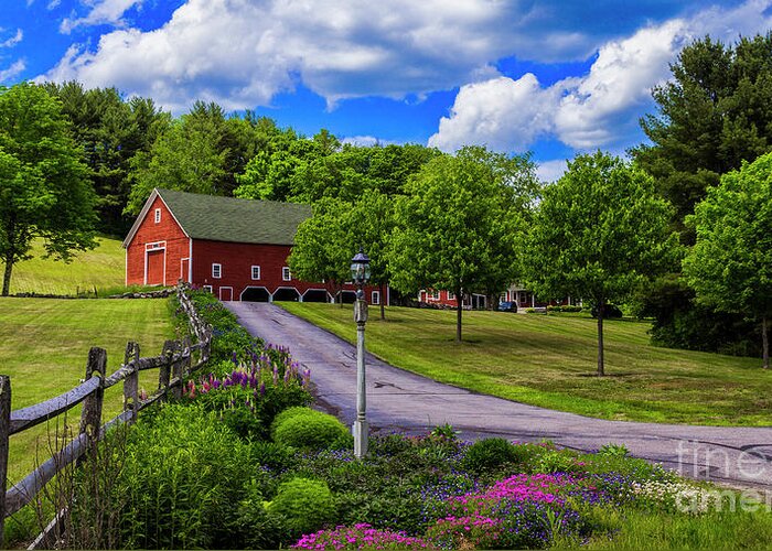 New Hampshire Greeting Card featuring the photograph Horse Farm in New Hampshire by New England Photography