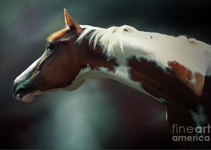 Horse Greeting Card featuring the photograph Horse Portrait by Dimitar Hristov