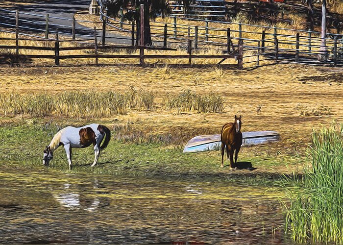 Berryessa Greeting Card featuring the photograph Horses at Lake Berresa by Bruce Bottomley