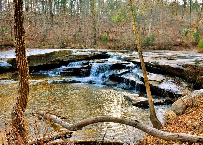Horseshoe Falls At Musgrove Mill Historic Site Clinton Sc Greeting Card featuring the photograph Horseshoe Falls At Musgrove Mill Historic Site Clinton SC by Lisa Wooten