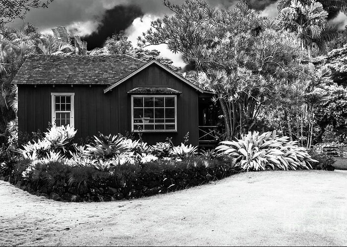 Kauai Greeting Card featuring the photograph House in Jungle by Blake Webster