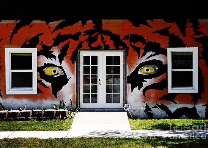 American Greeting Card featuring the photograph House Painted Like Bengal Tiger by Lane Erickson
