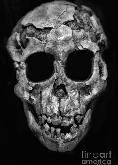Human Skull Greeting Card featuring the photograph Human Skull Black And White by Blake Richards