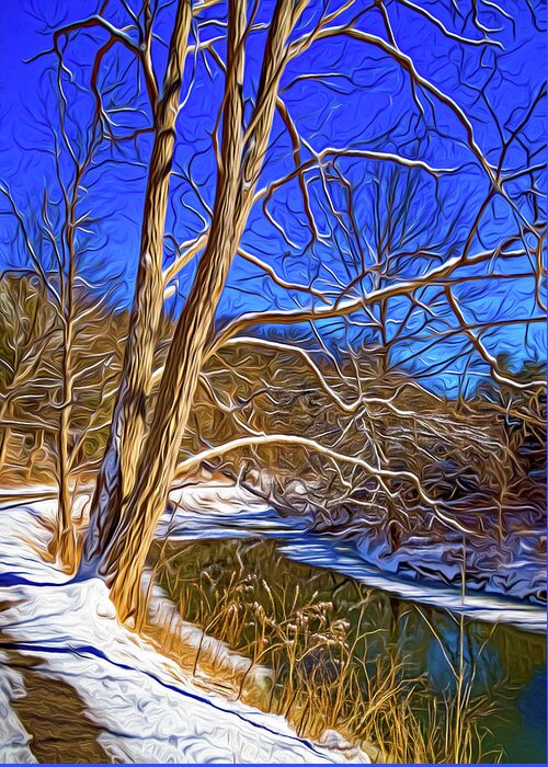 Steve Harrington Greeting Card featuring the photograph Humber River Winter 7 - Paint by Steve Harrington