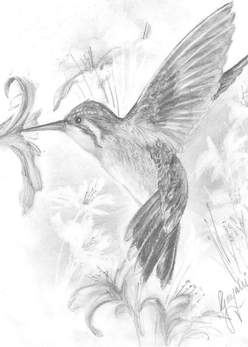 Humming Bird Greeting Card featuring the drawing Humming Bird by Gayatri Ketharaman