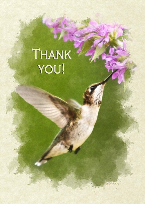 Thank You Greeting Card featuring the mixed media Thank You Card Hummingbird and Flowers by Christina Rollo