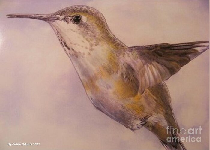 Hummingbird Greeting Card featuring the drawing Hummingbird by Crispin Delgado