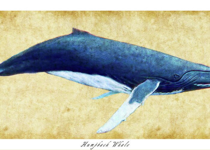 Humpback Greeting Card featuring the photograph Humpback Whale painting - framed by Weston Westmoreland