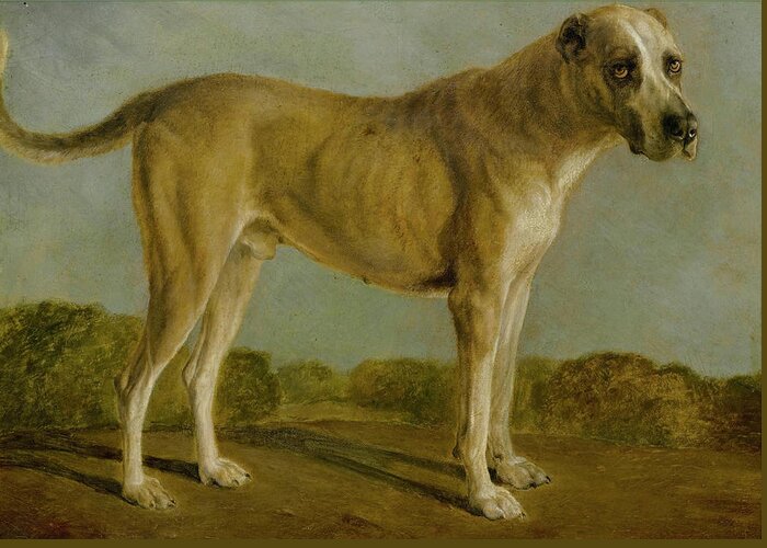 Jacques Laurent Agasse Greeting Card featuring the painting Hunting Dog by Celestial Images