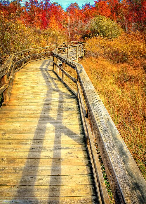 Fall Greeting Card featuring the photograph Huron County Nature Center Boardwalk Marsh by LeeAnn McLaneGoetz McLaneGoetzStudioLLCcom