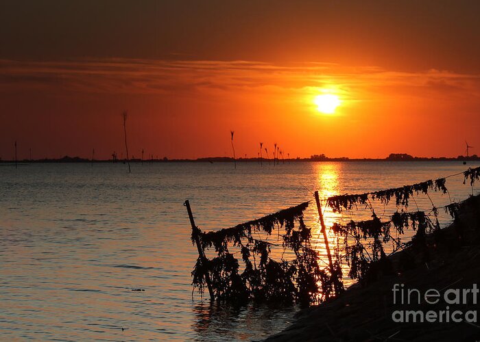 Husum Greeting Card featuring the photograph Husum sunset by Howard Ferrier