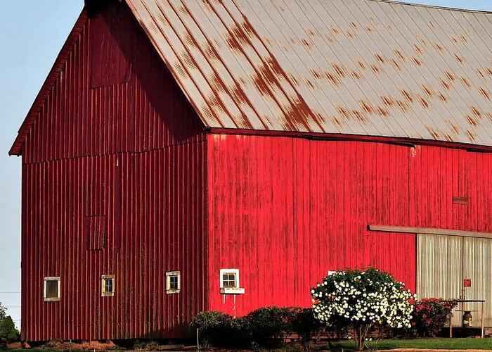 Ag Greeting Card featuring the photograph Hwy 47 Red Barn 21x21 by Jerry Sodorff