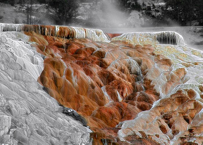 Hot Springs Greeting Card featuring the photograph Hymen Terrace Mammoth Hot Springs Yellowstone Park WY by Alexandra Till