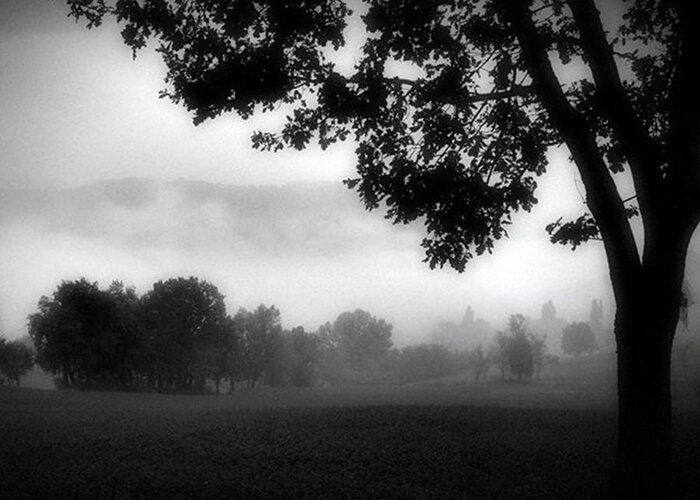Tree Landscape Fog Italy Black And White Greeting Card featuring the photograph Foggy autumn by Crinco Lee