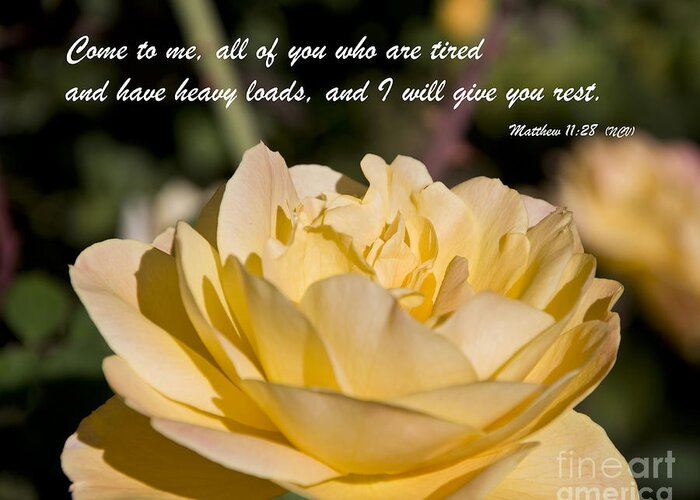 Bible Greeting Card featuring the photograph I Will Give You Rest by Kirt Tisdale