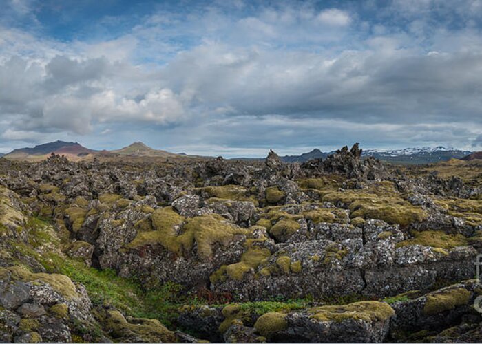 Icelands Mossy Volcanic Rock Greeting Card featuring the photograph Icelands Mossy Volcanic Rock by Michael Ver Sprill