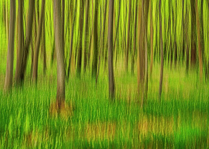 Forest Greeting Card featuring the photograph ICM by Elmer Jensen