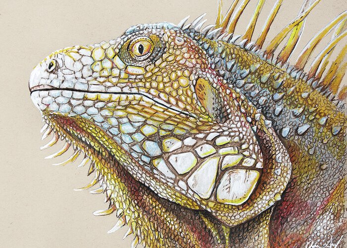 Iguana Greeting Card featuring the drawing Iguana Portrait by Aaron Spong