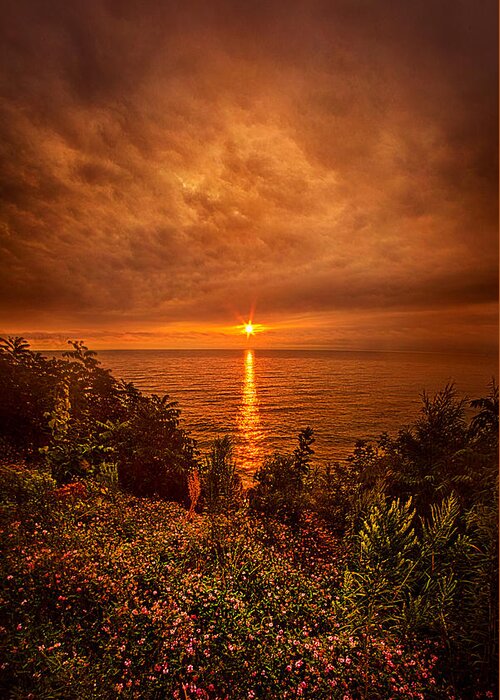 Lake Greeting Card featuring the photograph I'll Dream of You Again by Phil Koch