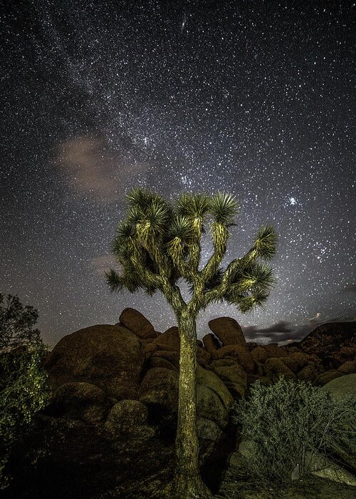 Astrophotography Greeting Card featuring the photograph Illuminati 09 by Ryan Weddle