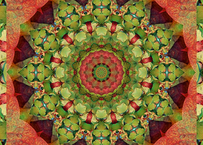 Mandalas Greeting Card featuring the photograph Illumination by Bell And Todd