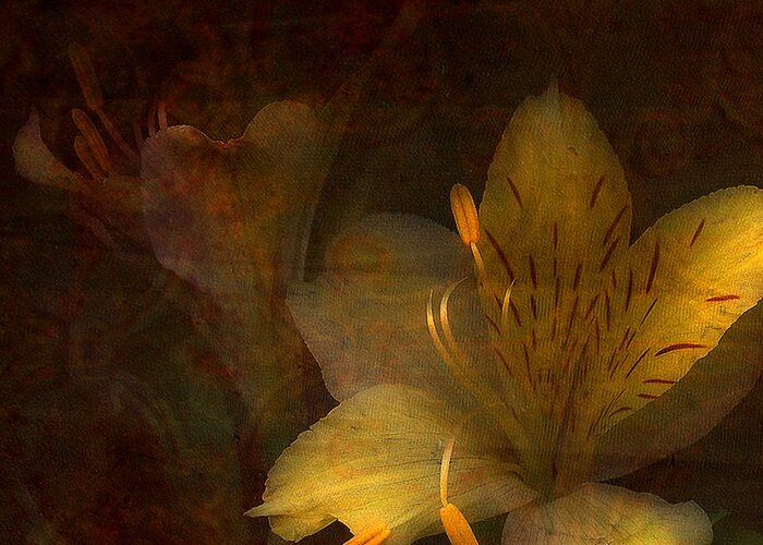 Day Lilies Greeting Card featuring the photograph Illumination by Bonnie Bruno