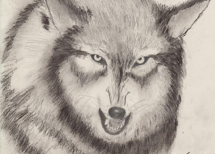 Wolf Greeting Card featuring the drawing I'm Not A Dog by David Jackson