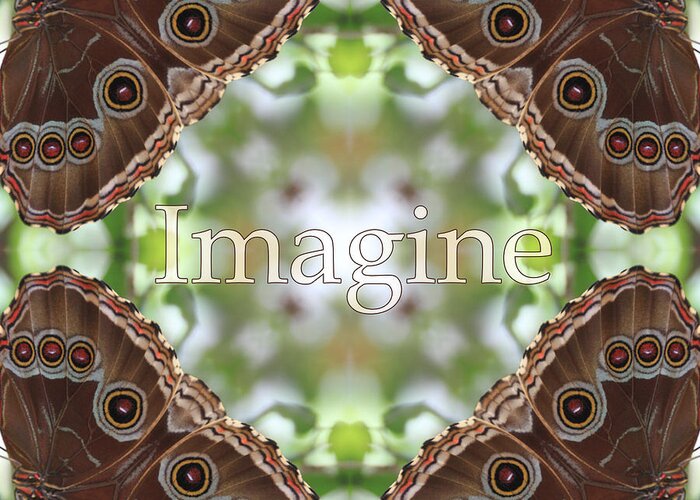 Abstract Art Greeting Card featuring the photograph Imagine by Mary Buck