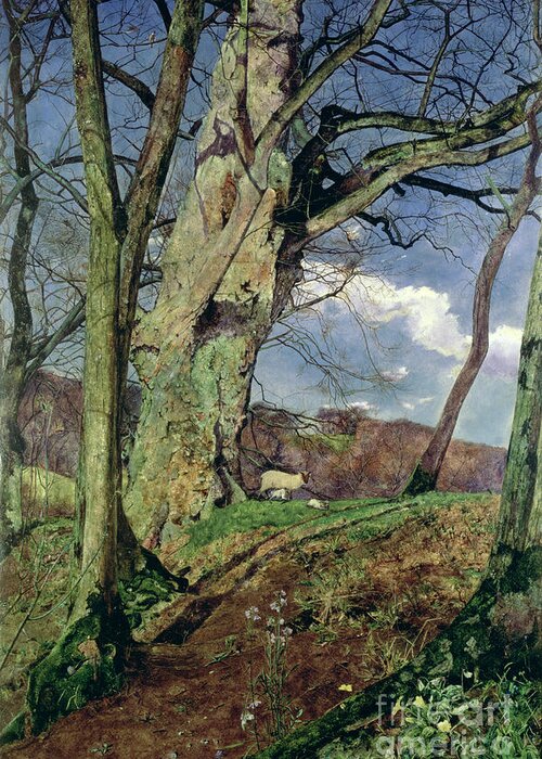 In Early Spring: A Study In March (oil On Canvas) By John William Inchbold (1830-88) Greeting Card featuring the painting In Early Spring by John William Inchbold