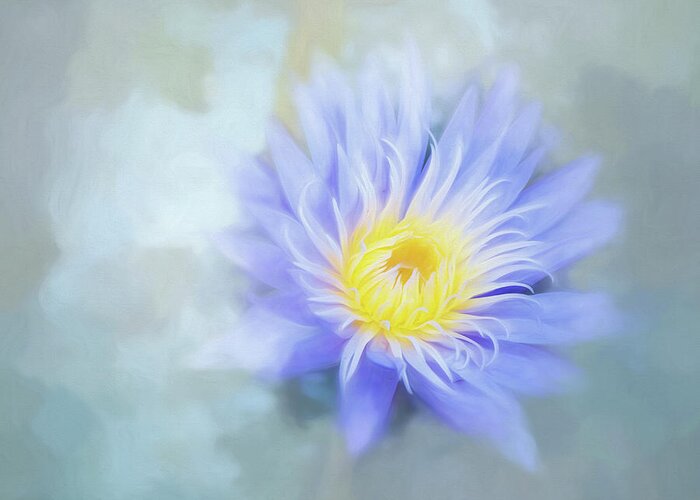 Waterlily Greeting Card featuring the photograph In My Dreams. by Usha Peddamatham