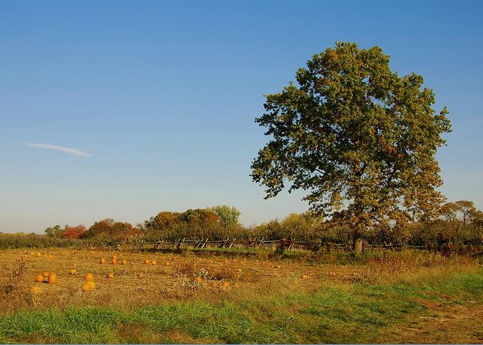 Autumn Greeting Card featuring the photograph In The Field - Battlefield Orchards by Angie Tirado