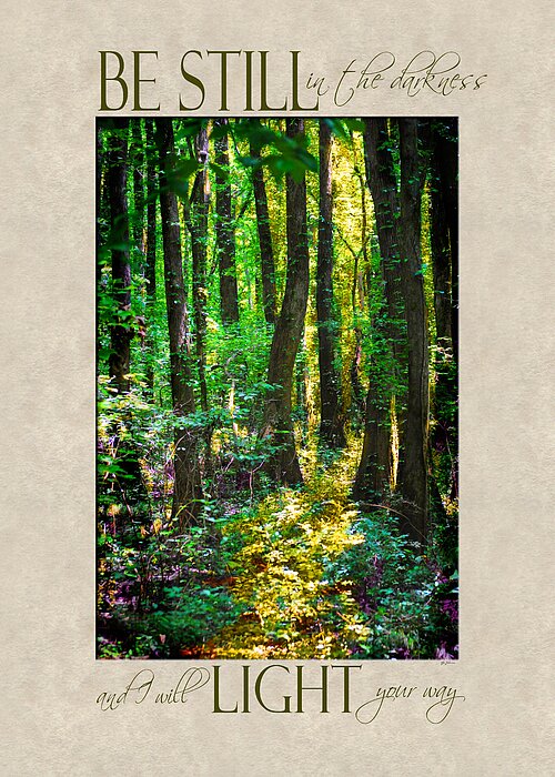Forest Greeting Card featuring the photograph In The Forest with Words by Jai Johnson