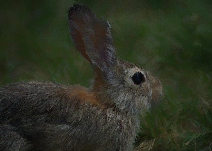 Rabbit Greeting Card featuring the digital art In The Grass 4 by Ernest Echols
