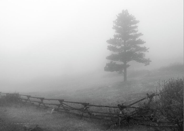 Fog Greeting Card featuring the photograph In the Misty Morning by Sam Sherman