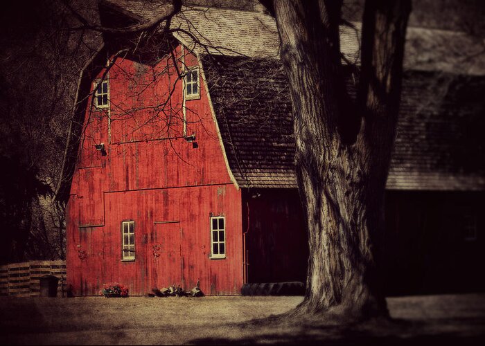 Barn Greeting Card featuring the photograph In the spotlight by Julie Hamilton