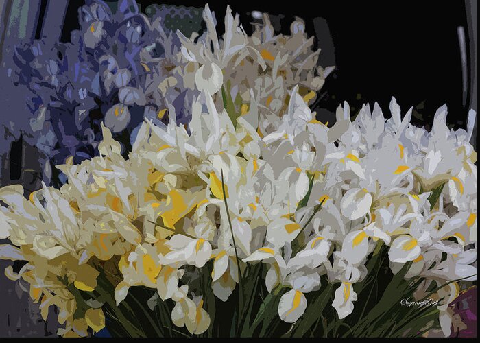 Photograph Greeting Card featuring the photograph Incredible Irises - Cutout by Suzanne Gaff