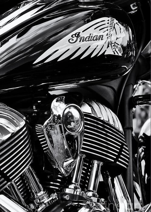 Indian Chieftain Greeting Card featuring the photograph Indian Chieftain by Tim Gainey
