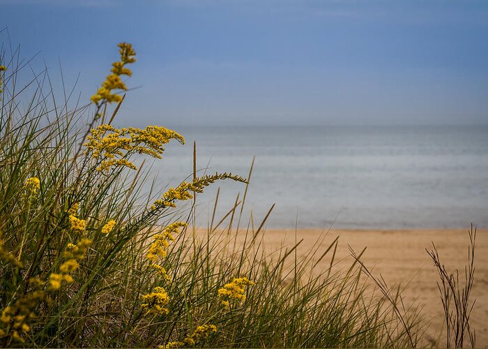 Beach Greeting Card featuring the photograph Indiana Dunes on Lake Michigan by Ron Pate