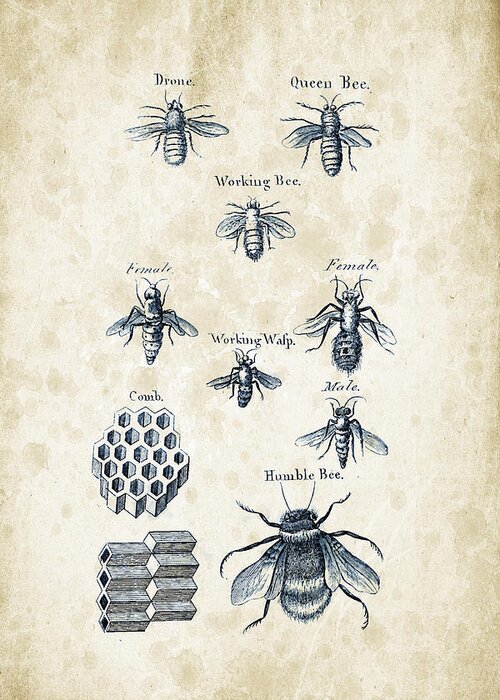Bee Greeting Card featuring the digital art Insects - 1792 - 14 by Aged Pixel