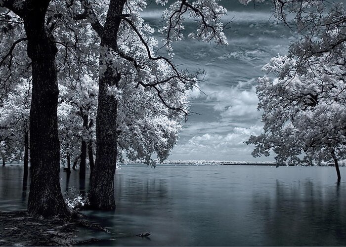 Infrared Greeting Card featuring the photograph Inside by Mike Irwin