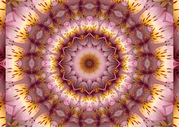 Mandalas Greeting Card featuring the photograph Inspiration by Bell And Todd